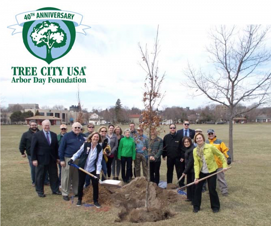 City of Sheboygan was named Tree City USA for the 40th year