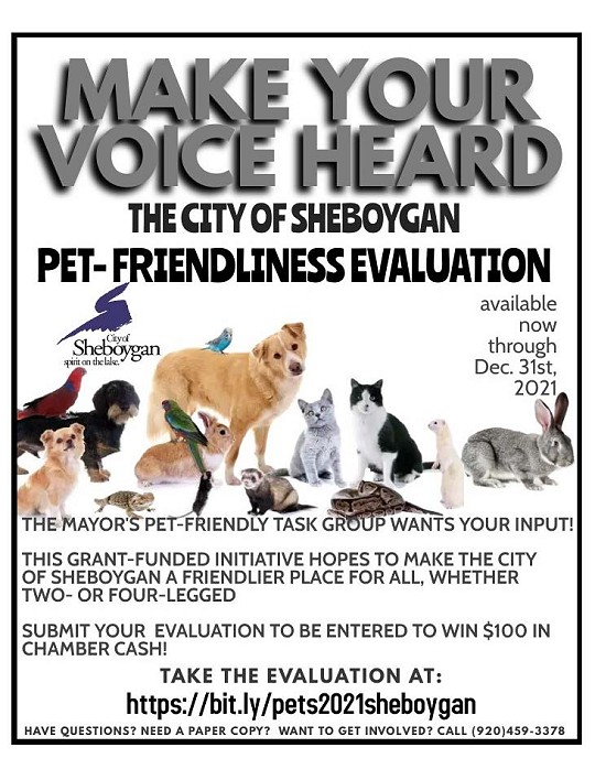 pet friendliness evaluation flyer